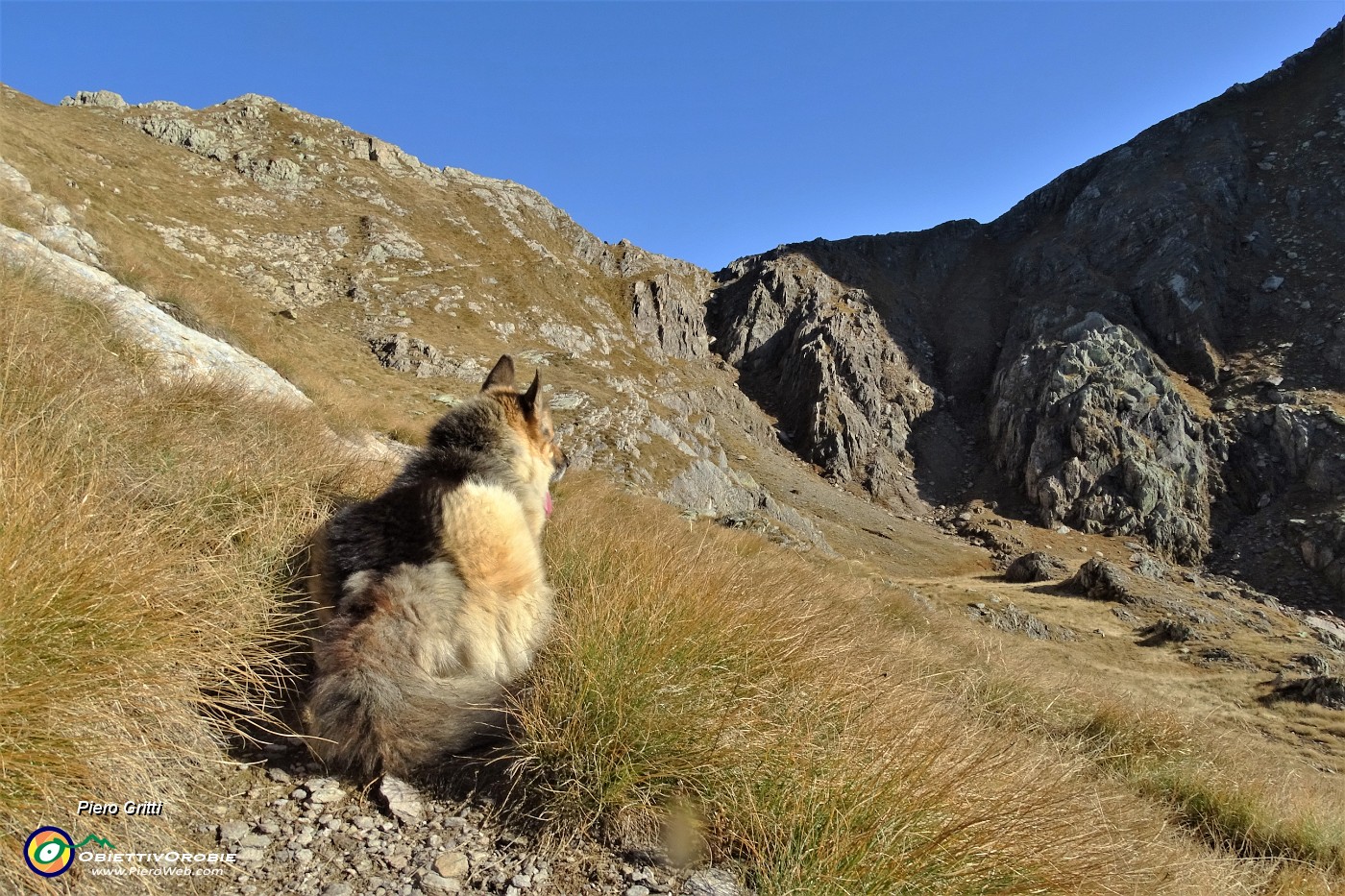 82 Dori accucciata ad osserrvare verso il Passo del Tonale.JPG